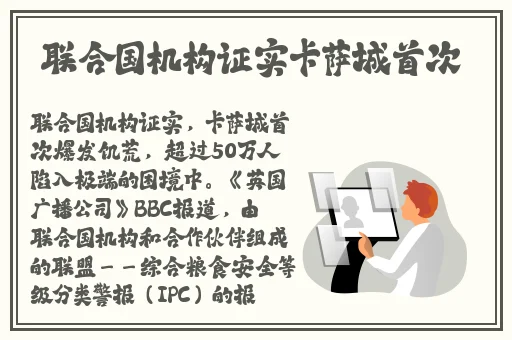 久久久久久精品免费s